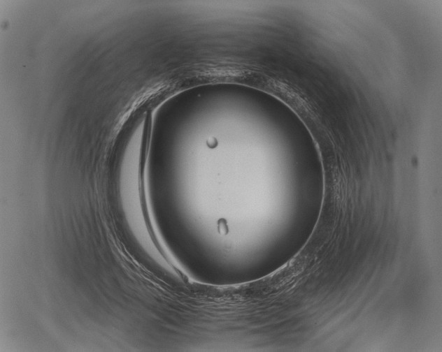 X0000067520731200604101326