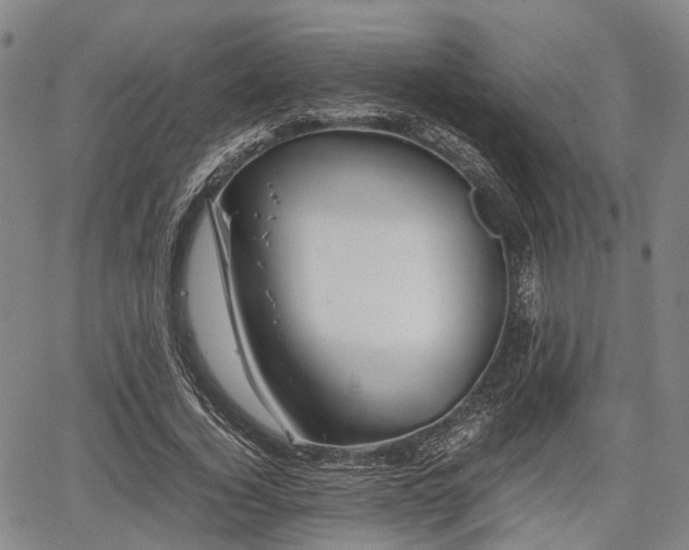 X0000067520732200604101326