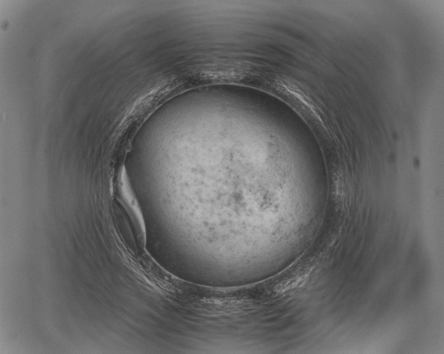 X0000067520733200604101326