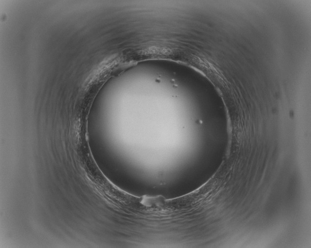 X0000067520735200604101326