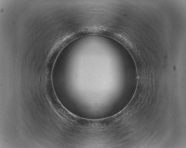 X0000067520736200604101326