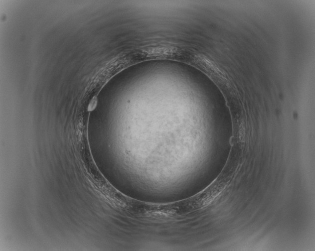 X0000067520737200604101326