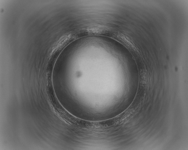 X0000067520738200604101326