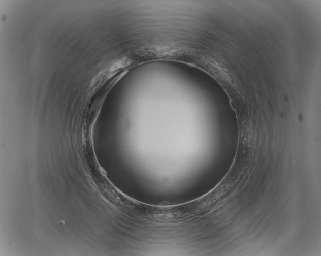 X0000067520740200604101326