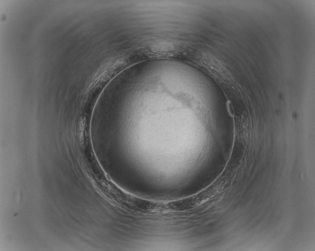 X0000067520742200604101326