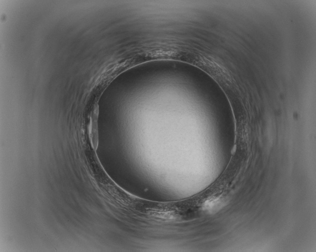 X0000067520743200604101326