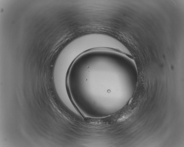 X0000067520744200604101326