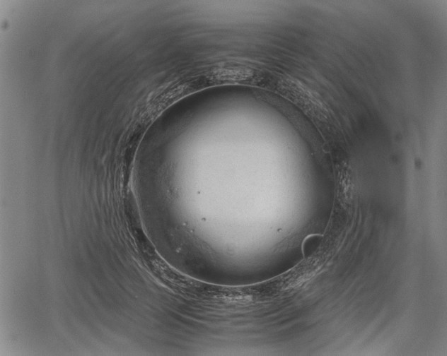 X0000067520745200604101326