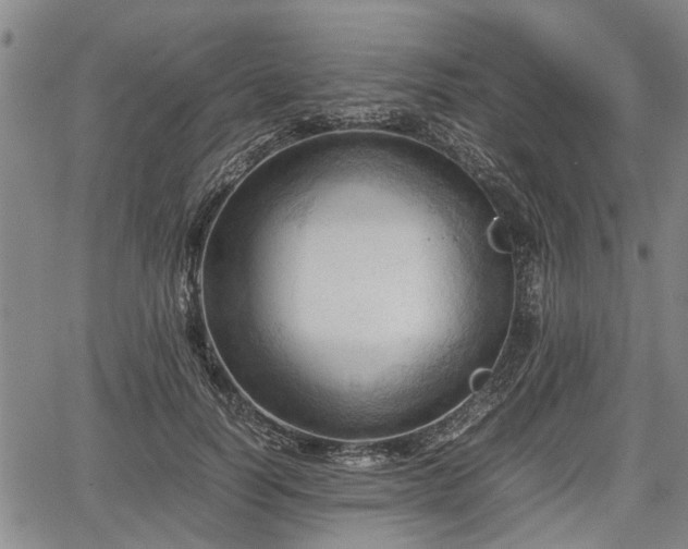 X0000067520746200604101326