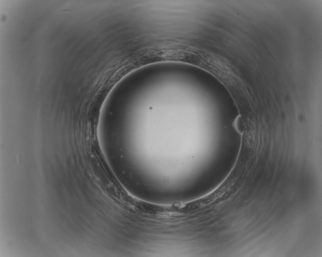 X0000067520748200604101326