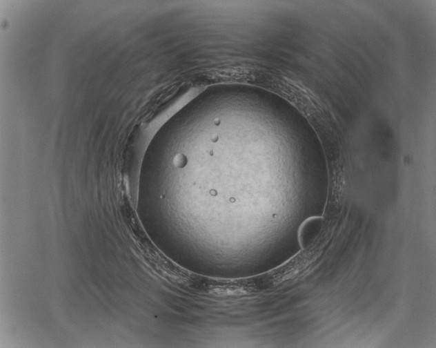 X0000067520749200604101326