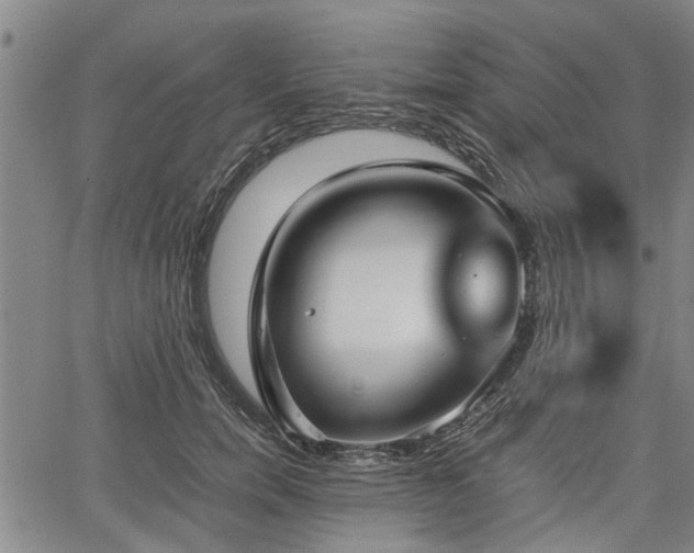 X0000067520750200604101326