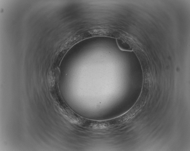 X0000067520751200604101326