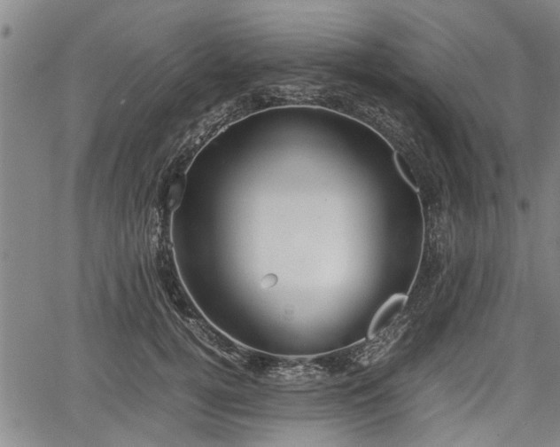 X0000067520752200604101326