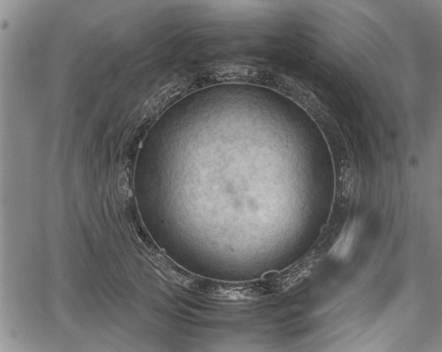 X0000067520753200604101326