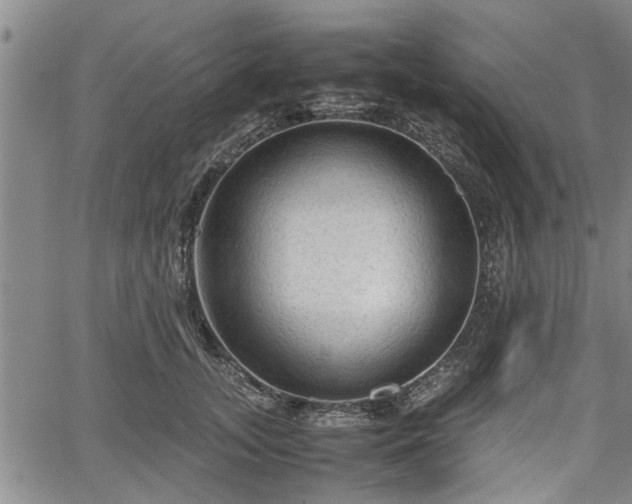 X0000067520755200604101326