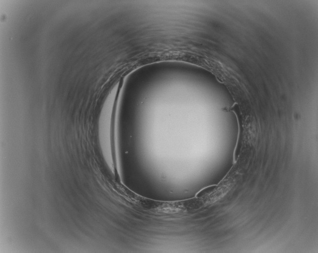 X0000067520756200604101326