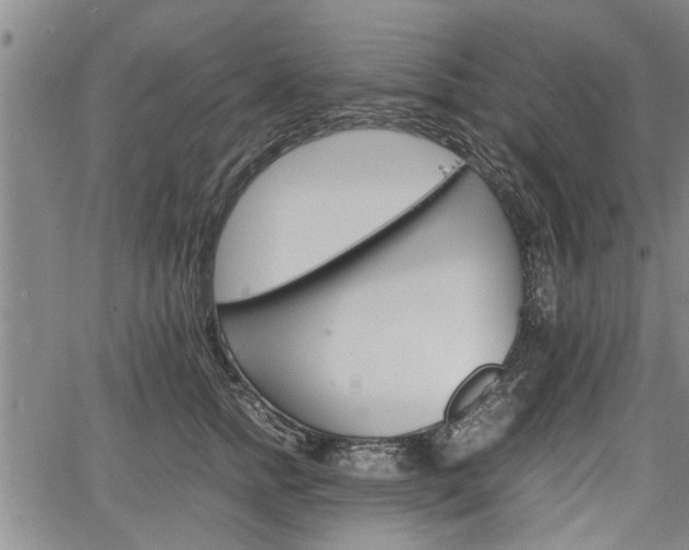 X0000067520758200604101326