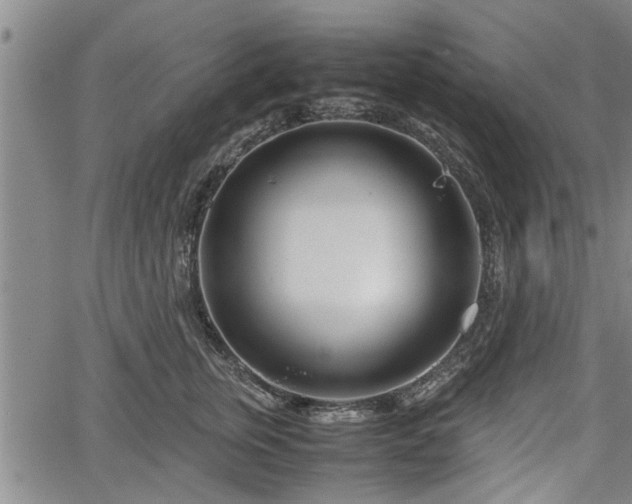 X0000067520759200604101326