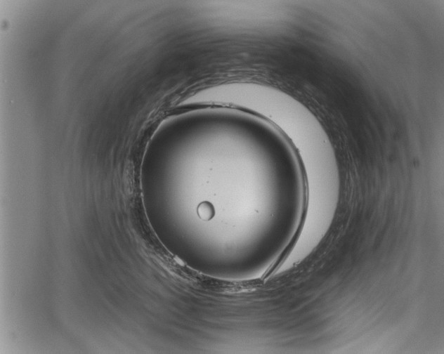 X0000067520760200604101326