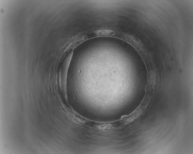 X0000067520761200604101326