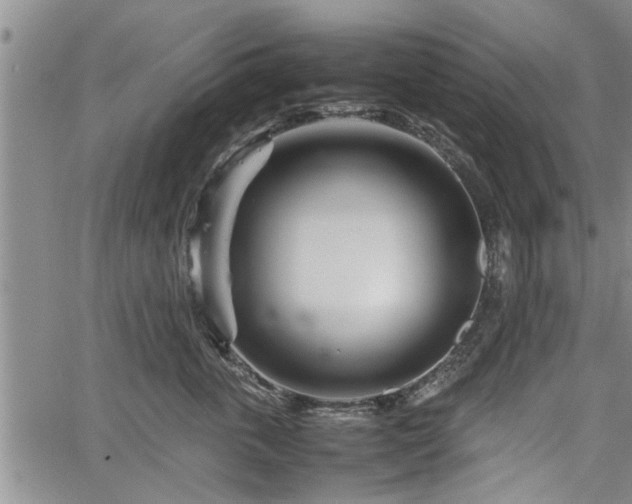 X0000067520763200604101326