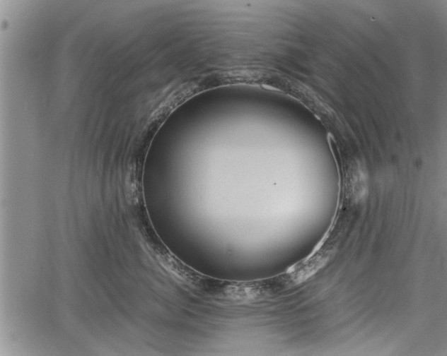 X0000067520764200604101326