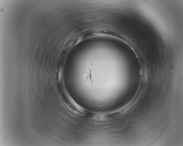 X0000067520766200604101326