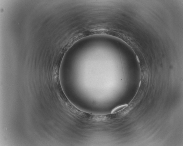 X0000067520767200604101326