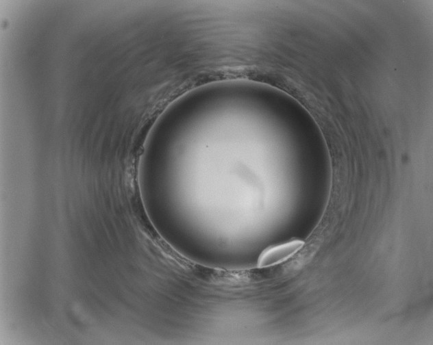 X0000067520768200604101326