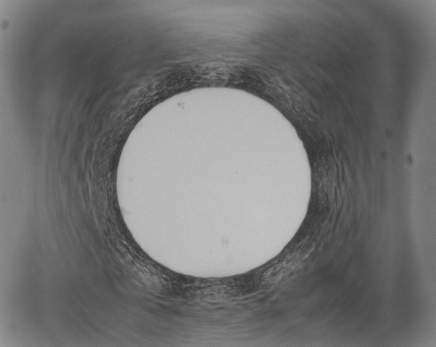 X0000067520769200604101326