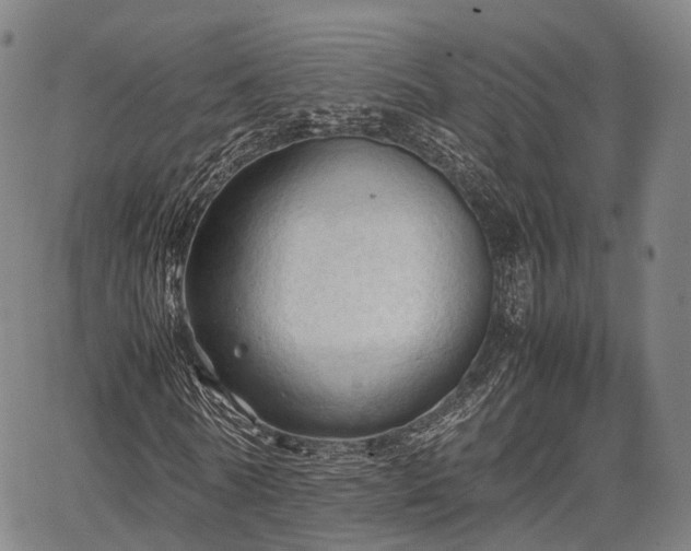 X0000067520770200604101326