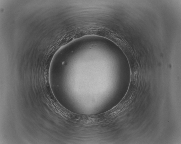 X0000067520772200604101325