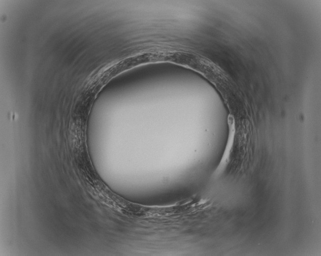 X0000067520773200604101325