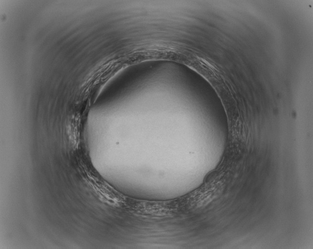 X0000067520774200604101325