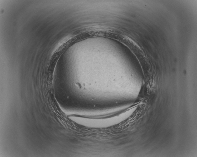 X0000067520775200604101325