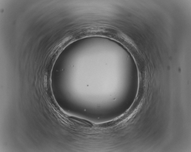 X0000067520777200604101325