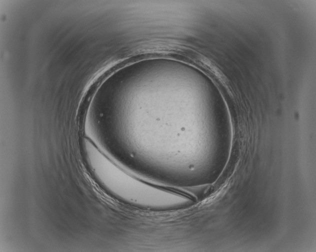 X0000067520779200604101325