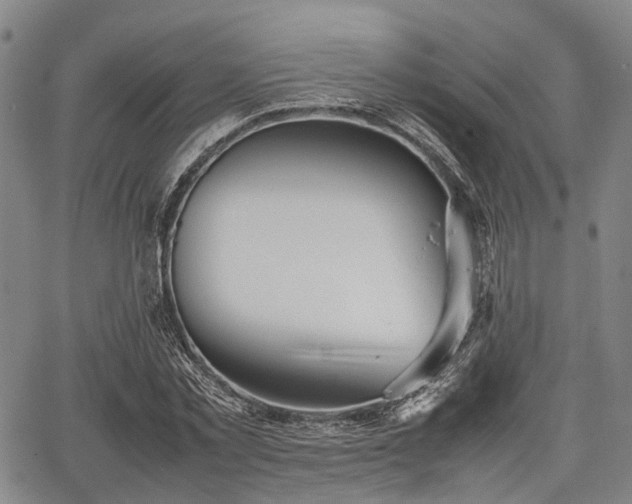 X0000067520781200604101325