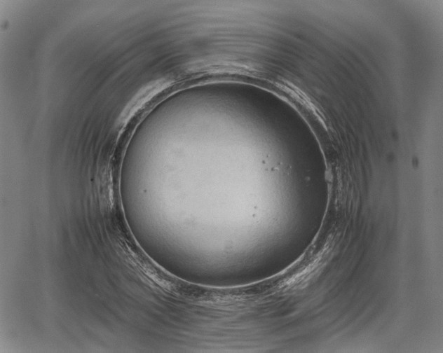 X0000067520782200604101325