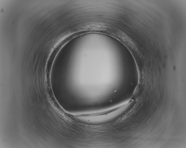 X0000067520784200604101325