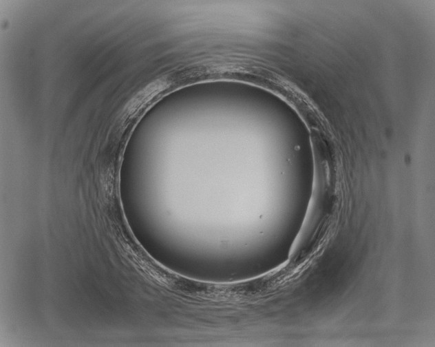 X0000067520785200604101325