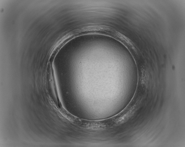 X0000067520786200604101325