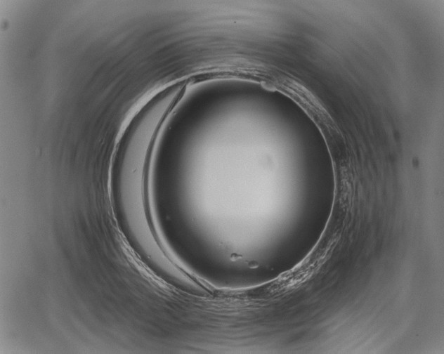 X0000067520788200604101325