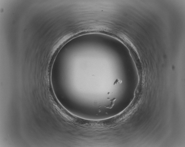 X0000067520789200604101325