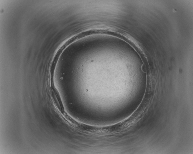 X0000067520791200604101325