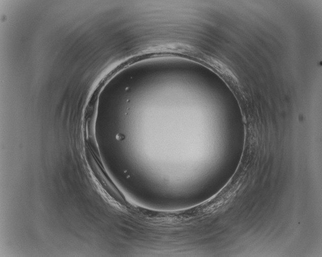 X0000067520792200604101325