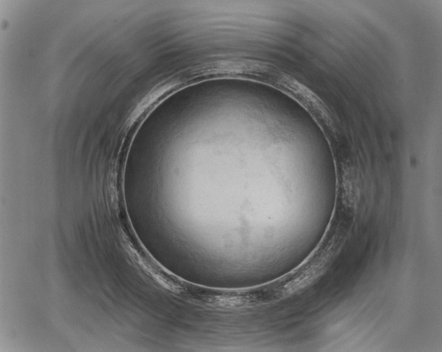 X0000067520794200604101325