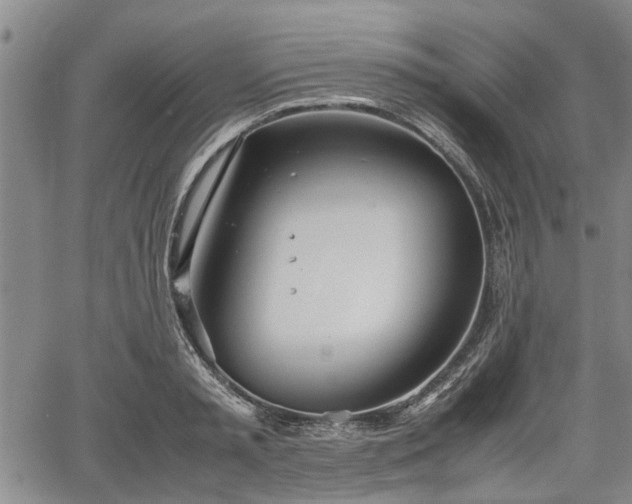 X0000067520797200604101325