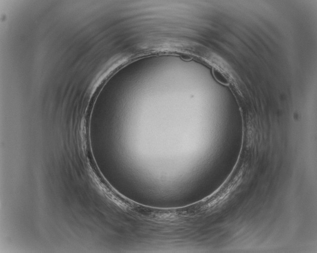 X0000067520798200604101325